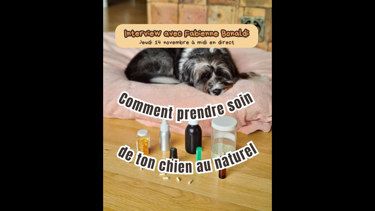 COMMENT PRENDRE SOIN DE TON CHIEN AU NATUREL