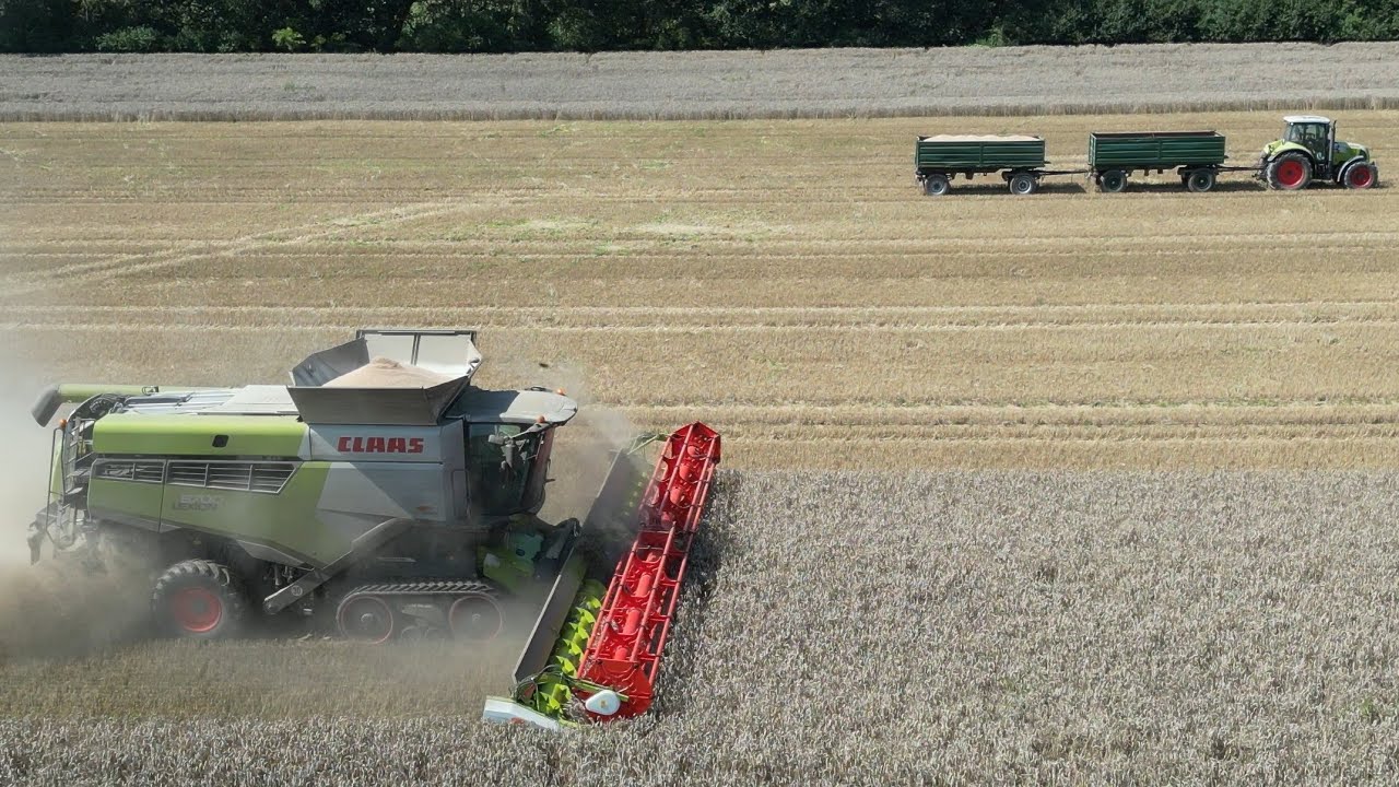 CLAAS LEXION 8700TT am Weizen dreschen / Abfahrer CLAAS ARION 540 / 4K