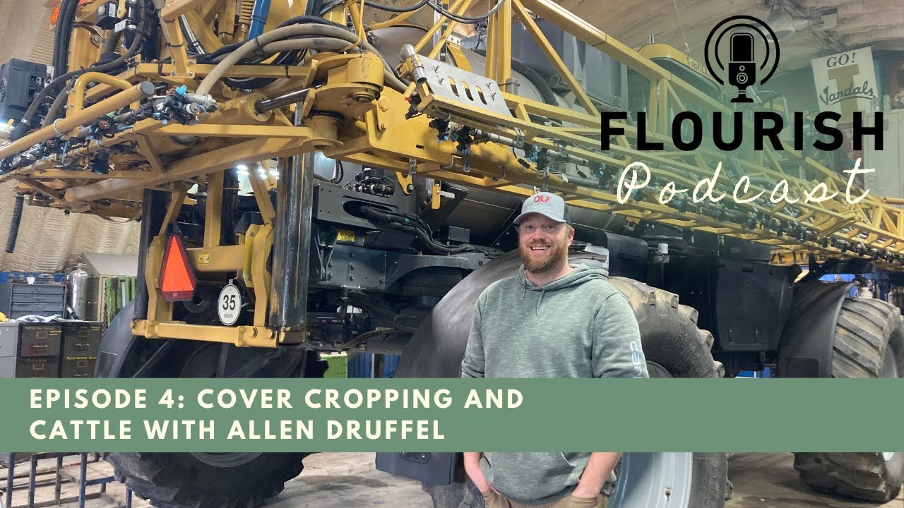 Episode 4: Cover Cropping and Cattle with Allen Druffel