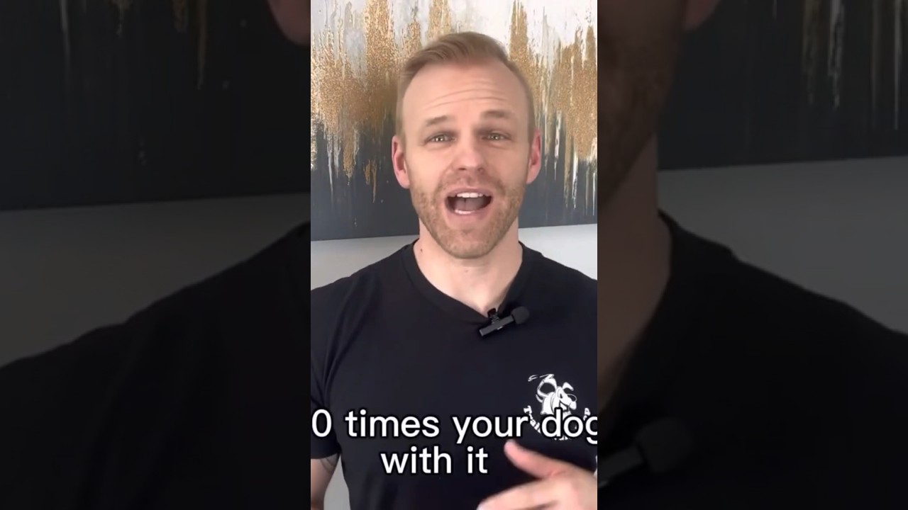 How consistency helps in dog training #dogtraining #dog #dogslover #dogsofyoutube #utah