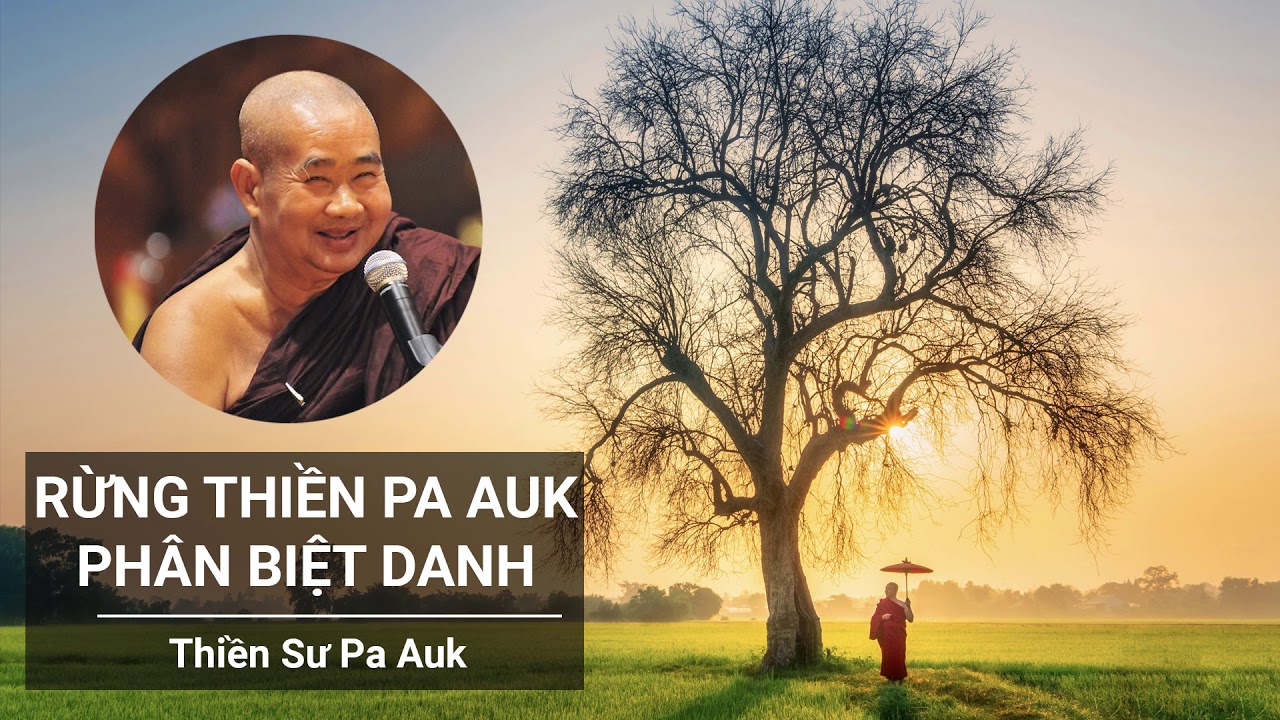 Giáo Trình Rừng Thiền Pa–Auk – Phân Biệt Danh