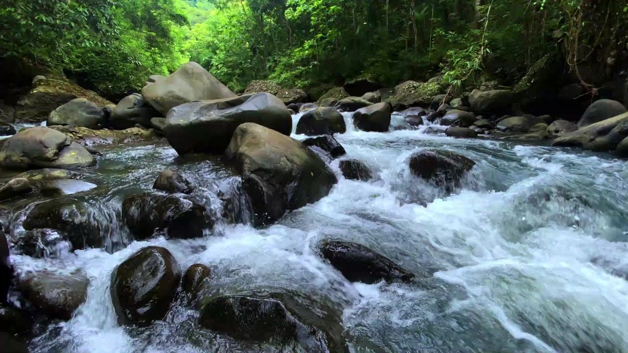 Calm River & Relaxing Water Sounds for Deep Sleep and Relaxation