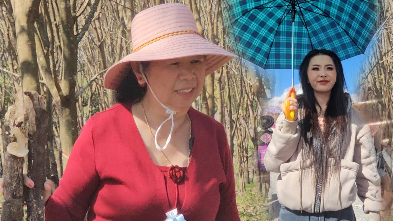 Ci tawv nploo. Noj. Nb 18ມັງກອນ 2026