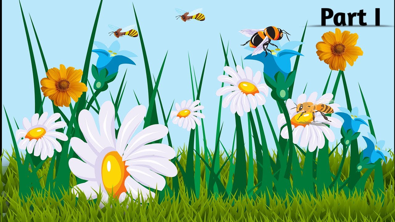 Pollination || in Hindi