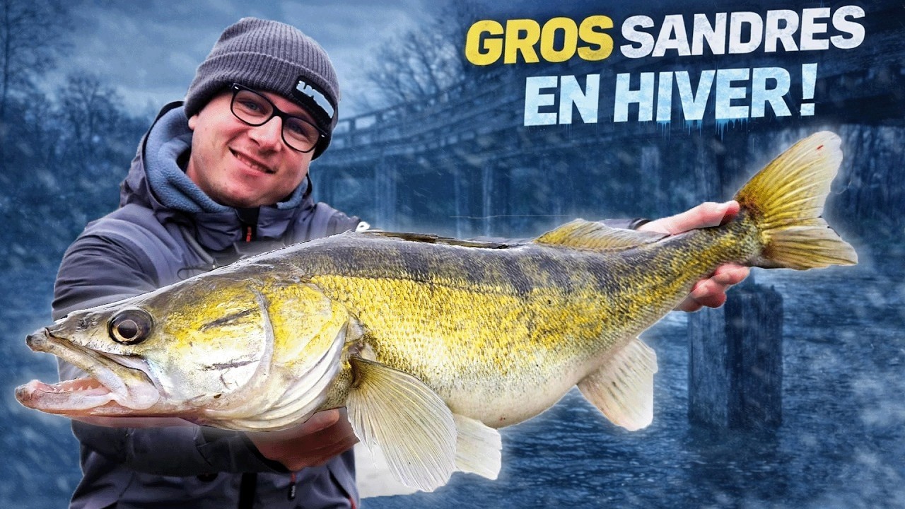 Comment p&ecirc;cher le sandre en street-fishing ? 🥶 p&ecirc;che au leurre avec @tristanhedouin
