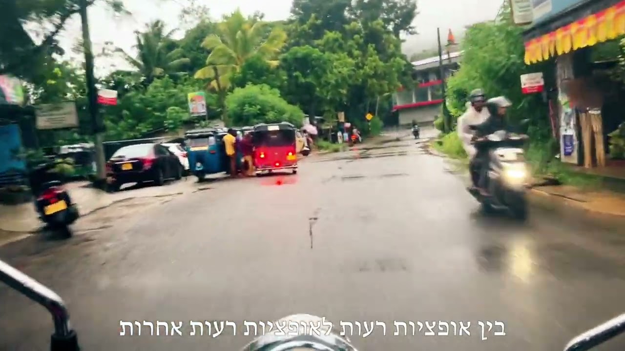 אמיר שדה - וונדרוול