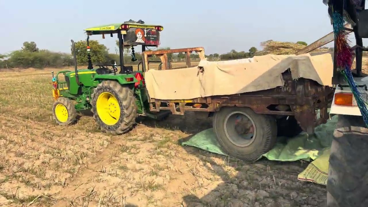 Sarsu nikalte huye#video #tarndeng #farming #vairalvideo 