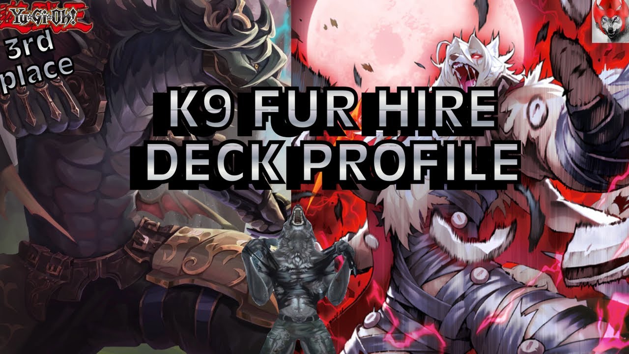 Турнир Fur Hire K9 Deck profile Box 3v3, 3-е место.