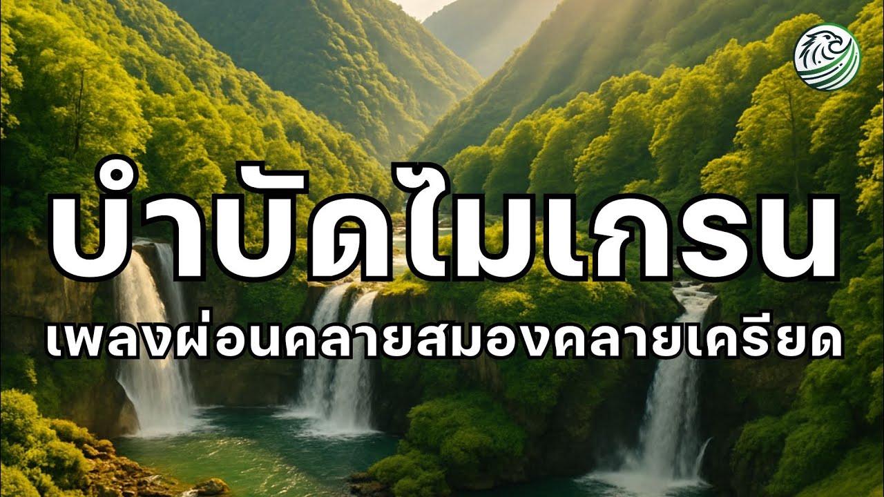 เพลงผ่อนคลาย เพลงบำบัดไมเกรน ลดอาการปวดหัวจากความเครียด ดนตรีบำบัด เพลงบำบัดปวดหัว บำบัดความเครียด 