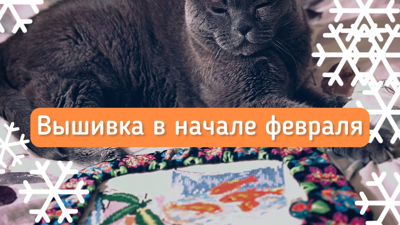 Вышивка в начале февраля-финиш зайки и хорошие продвижения