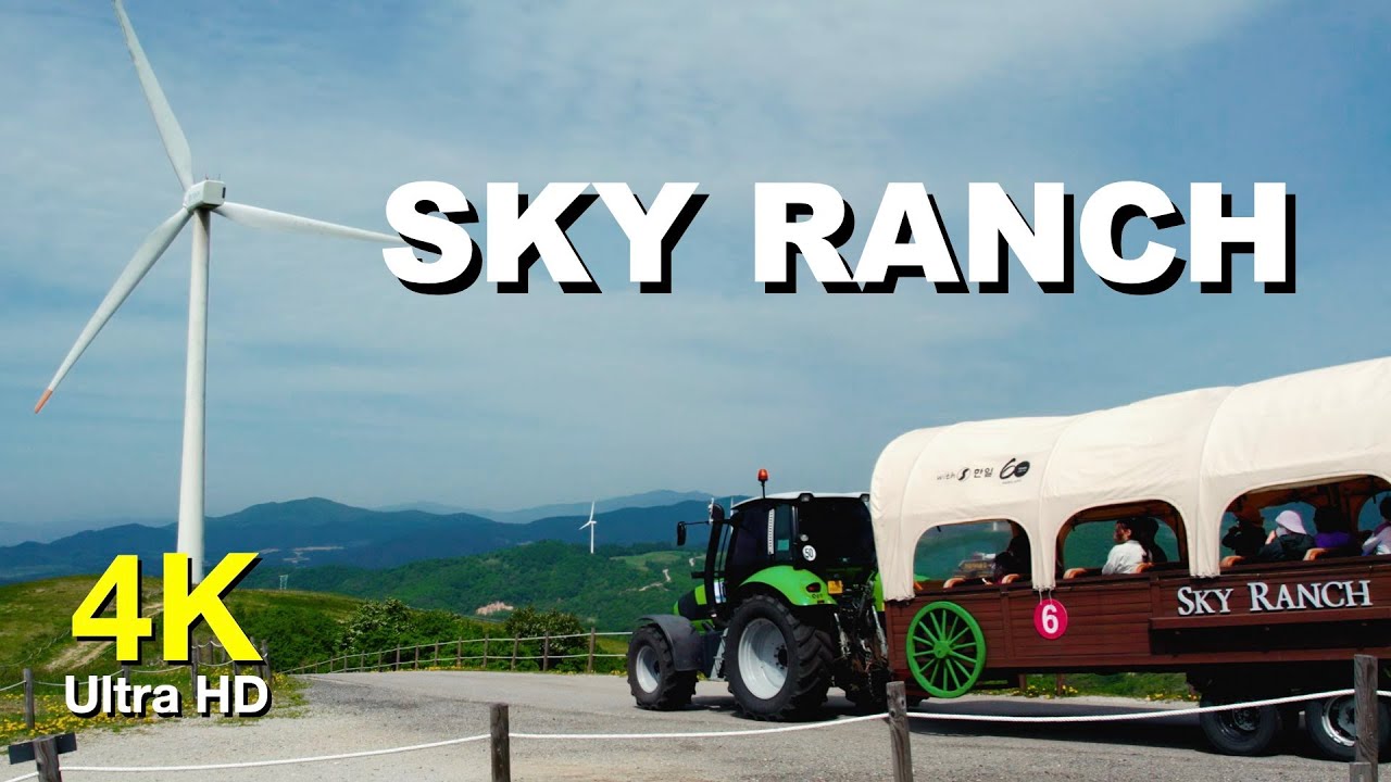 4K SKY RANCH in KOREA | 대관령 하늘목장 고화질 영상소스