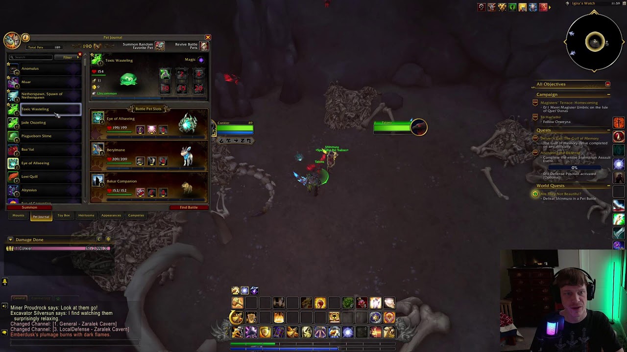 Midnight & Chill | Tank Paladin Leveling and Pet Battling