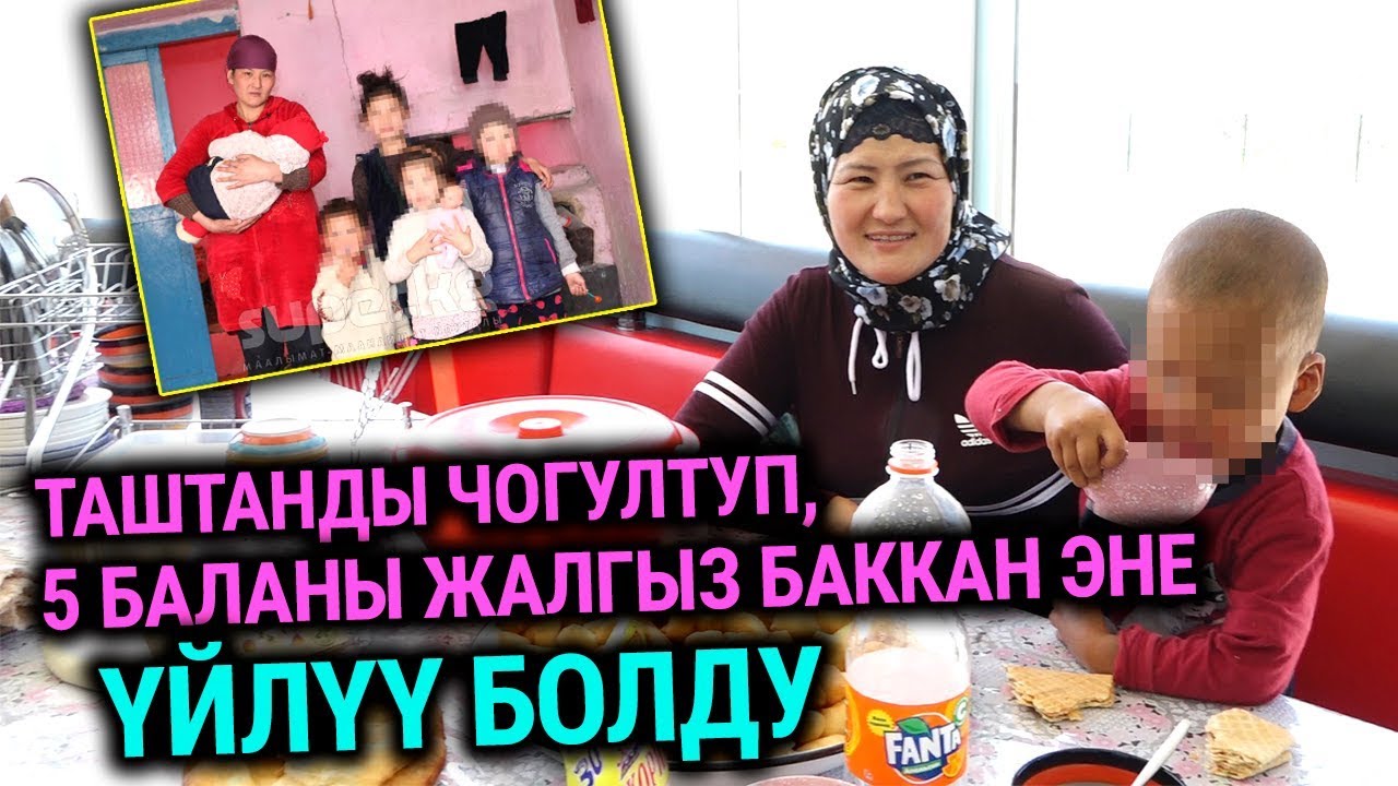 Таштанды чогултуп, 5 баланы жалгыз баккан эне үйлүү болду