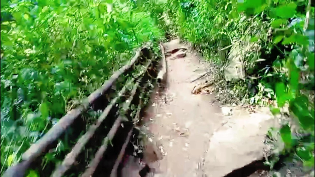 I got lost in the forest looking for the waterfall......