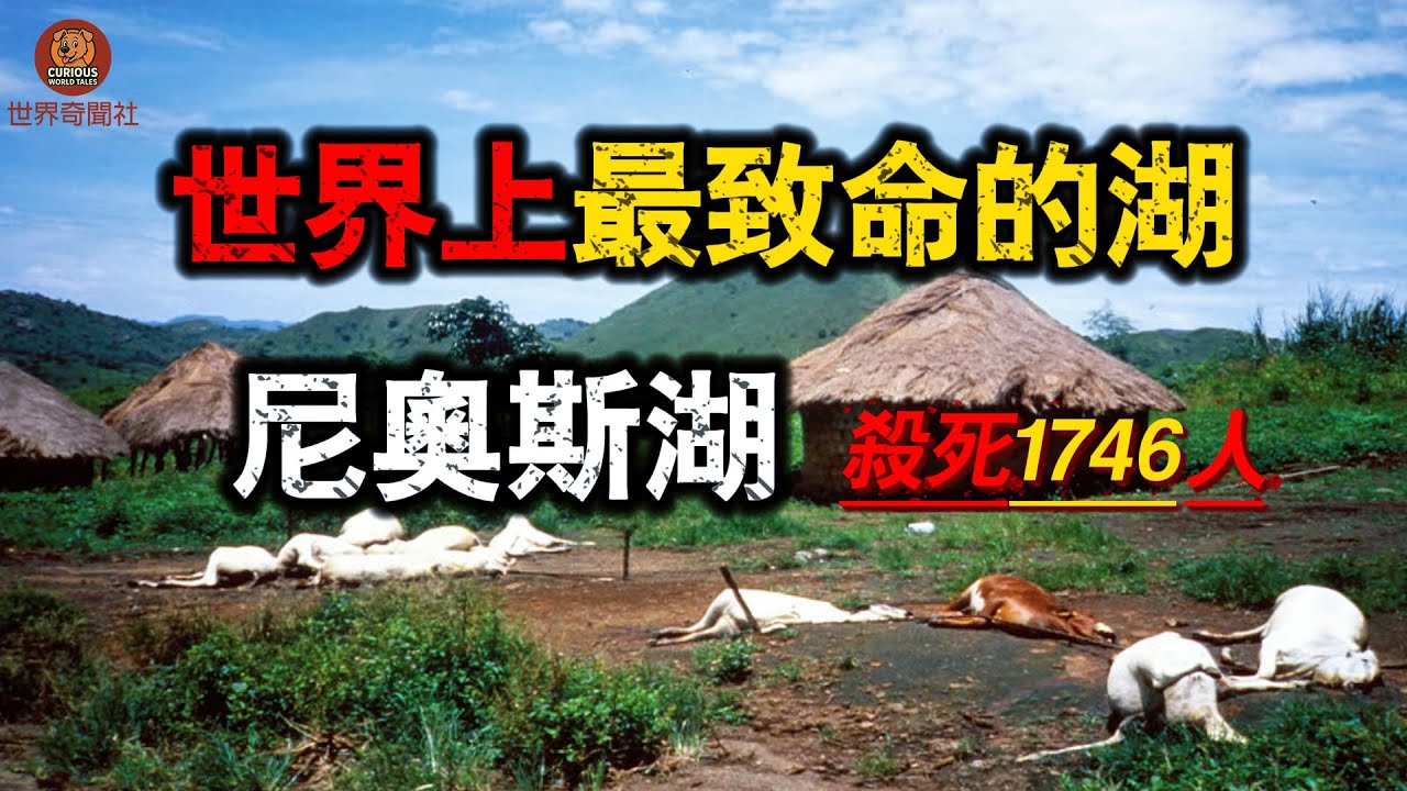 世界上最危險的湖泊！會殺人的尼奧斯湖，一夜之間奪走1746人的生命，究竟是什麼原因？|世界奇聞社Curious World Tales