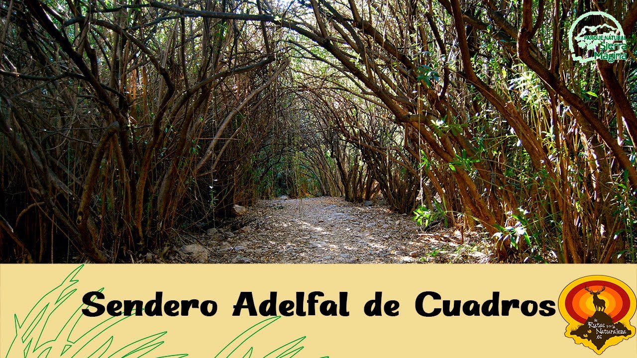 Sendero Adelfal de Cuadros (P.N. Sierra Mágina) | De rutas por la naturaleza