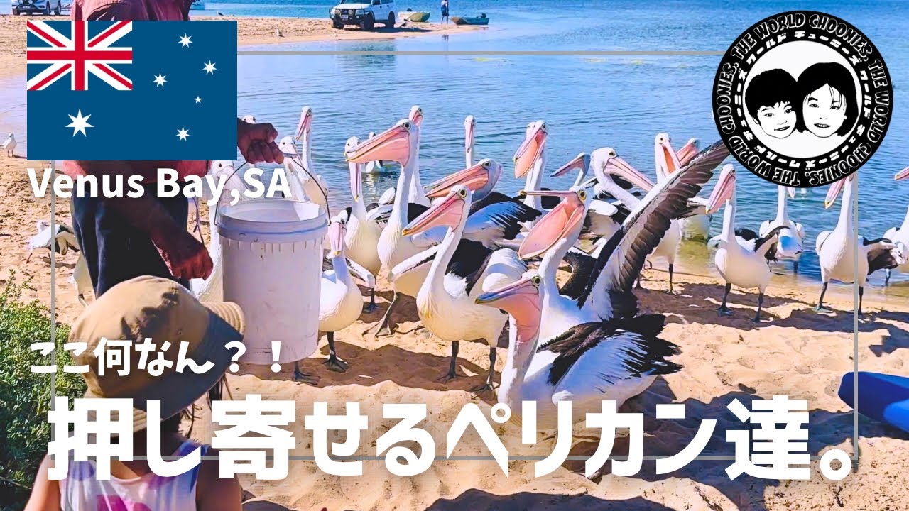 【Vlog】何なん、ここ？！予想外のエヴ◯シリーズ登場に子供も親も大興奮！