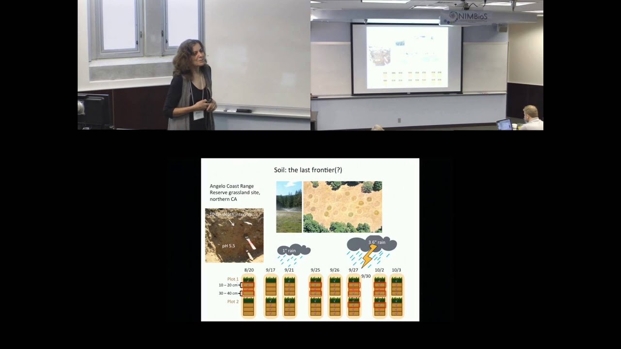 Overview of microbial community studies