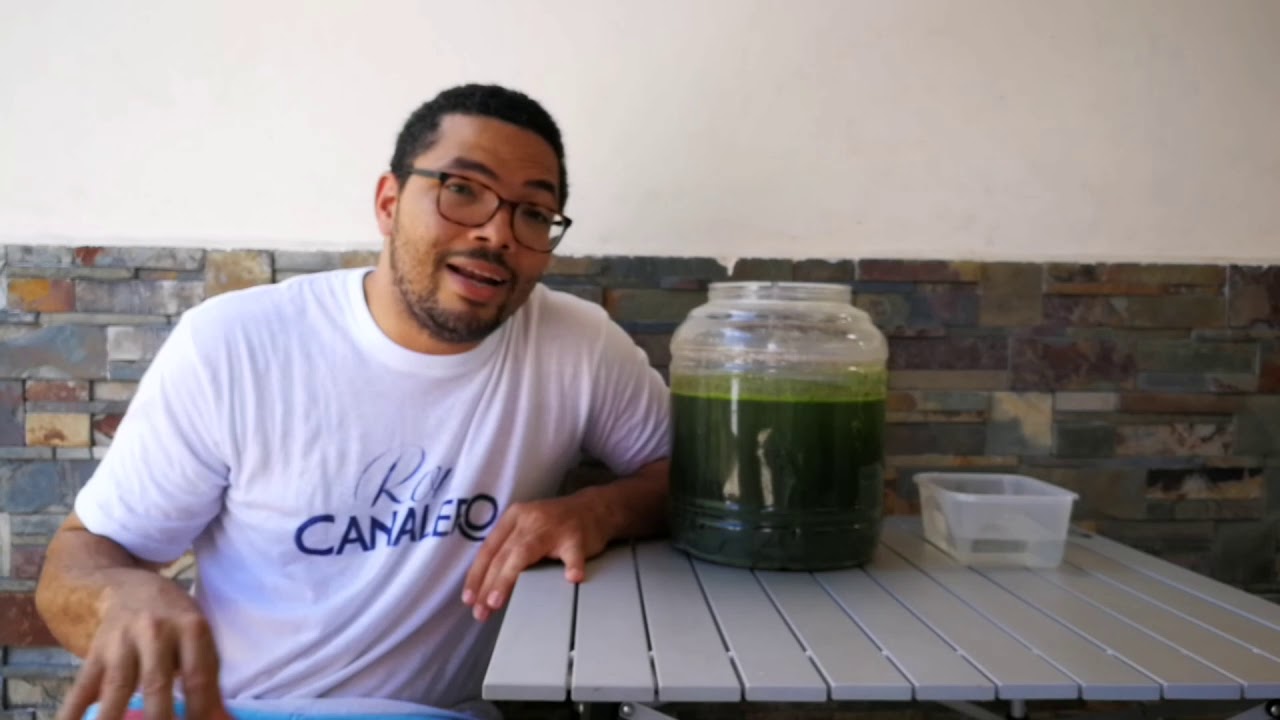 Agua verde o chlorella 2.0, prueba #2