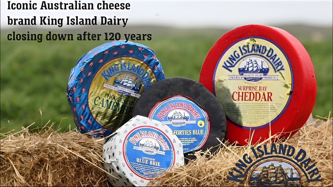 Iconic Australian cheese brand King Island Dairy closing down after 120 years