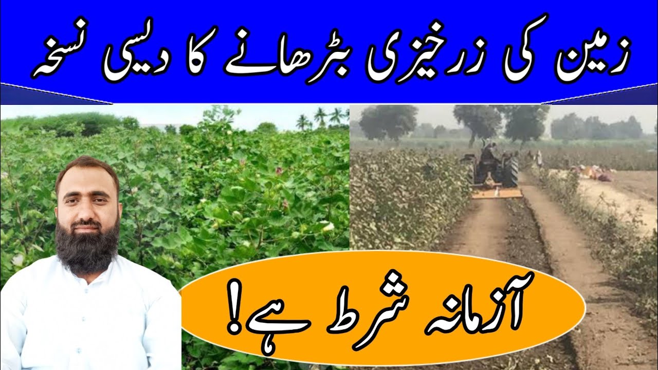 How to increase soil fertility | How to increase soil organic matter | Bilal Kanju Official
