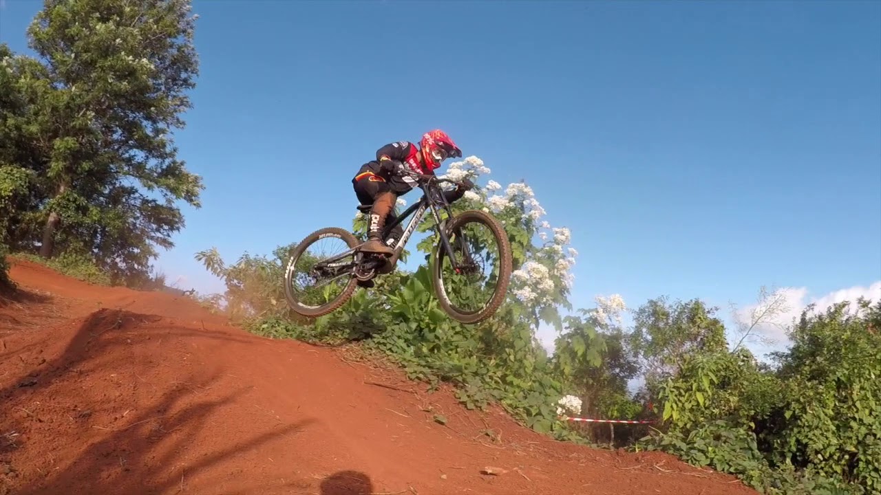 DH LE PLATE 2019