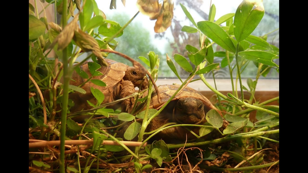 20   Tu nous aimes, Seigneur