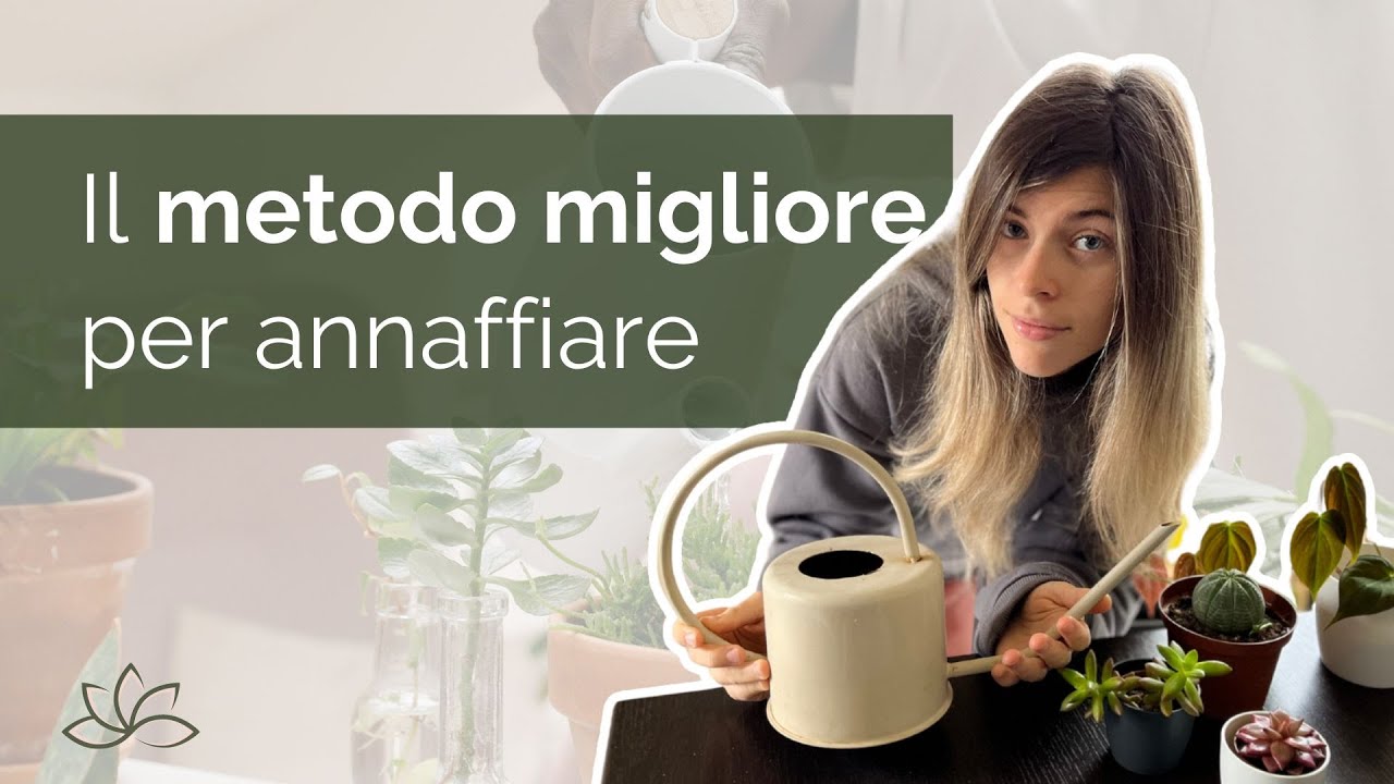 Il metodo migliore per annaffiare: dall'alto, subirigazione o immersione?