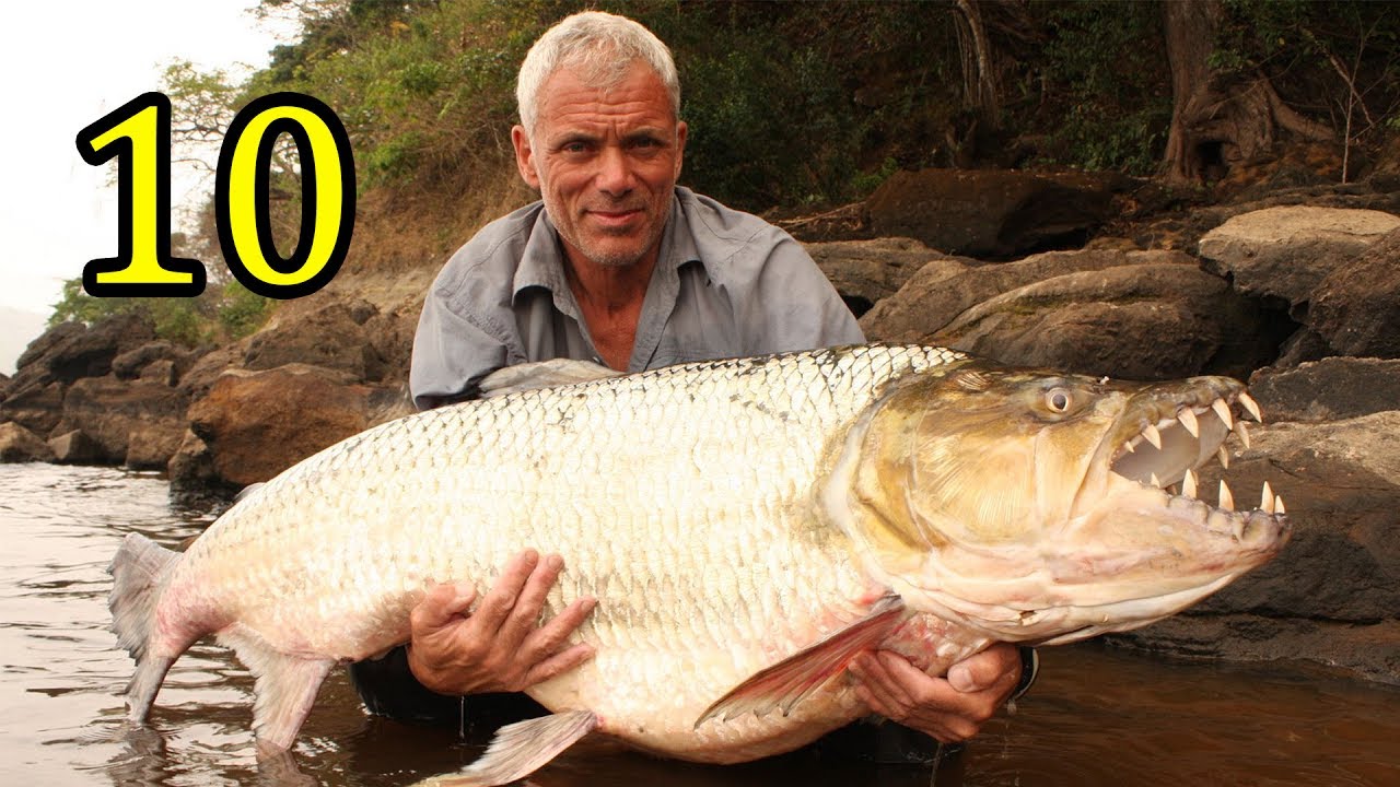 10 อันดับ Monster Fish l ปลาปีศาจ ที่ Jeremy Wade เคยตกได้