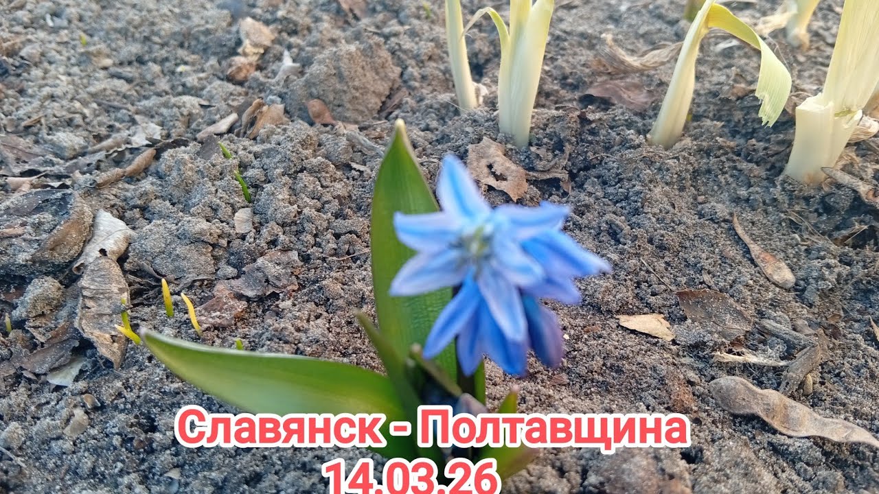 Вода в речке потихоньку убывает.