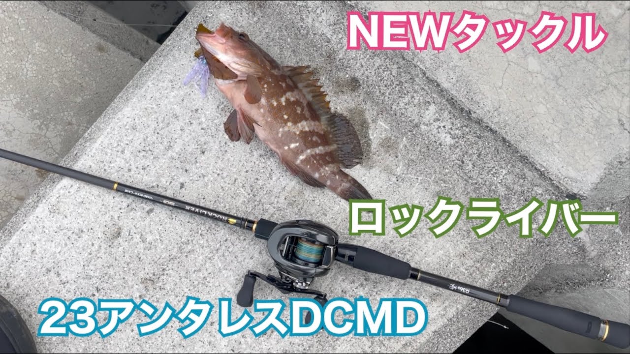 NEWタックル☆ロックライバー&23アンタレスDCMD【アコウ】