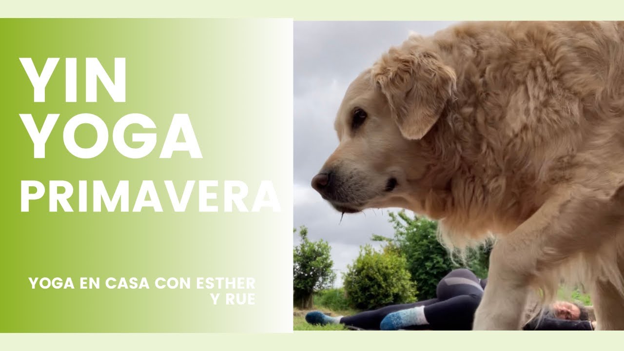 Yin Yoga Primavera con Rue y Genghis