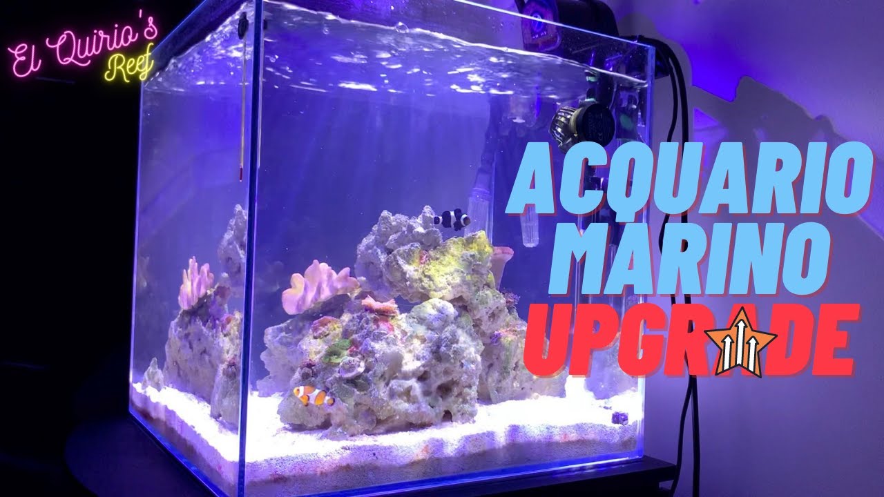 #14 Nuova pompa cross flow (wavemaker) - Upgrade - Il mio acquario marino