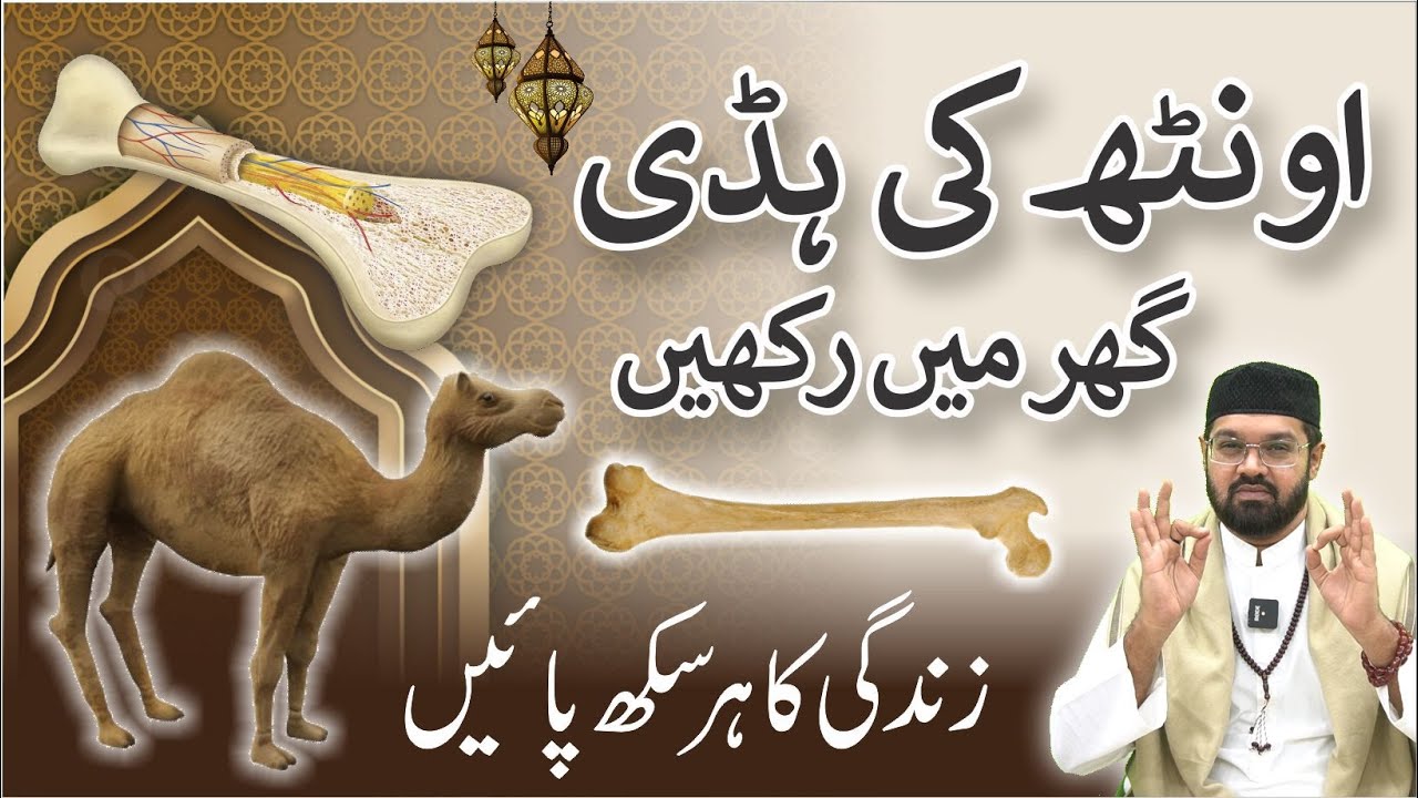 Unth Ki Haddi Ghar Mein Rakhne Ke Fayde | Dr. Fahad Artani Roshniwala | Roshni Centre