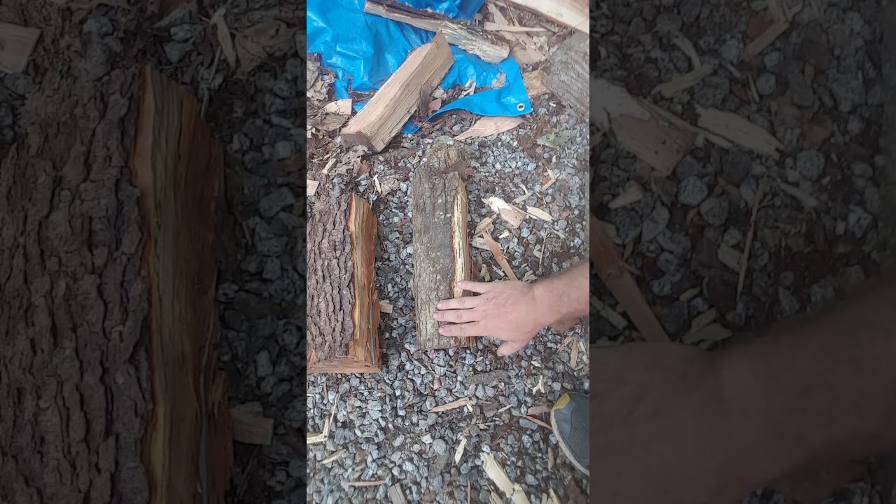 Tree Identifying: Common hardwood species, without looking at the leaf.