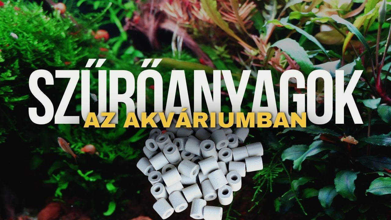 🧪 Akváriumi szűrőanyagok csatája 🎬 – Mítosz vagy tudomány? Mi is pontosan a biológiai szűrés?