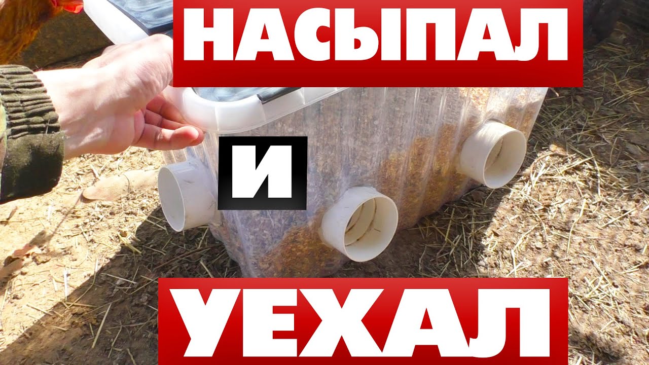 Кормушка для кур на даче В курятник для ленивых 🐔