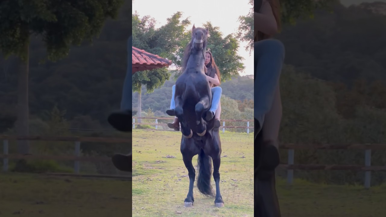 Empinando em 2 ✌🏻 #shortsyoutube #shortvideo #agro #agrogirl #comedia #shortshorts #cavalos