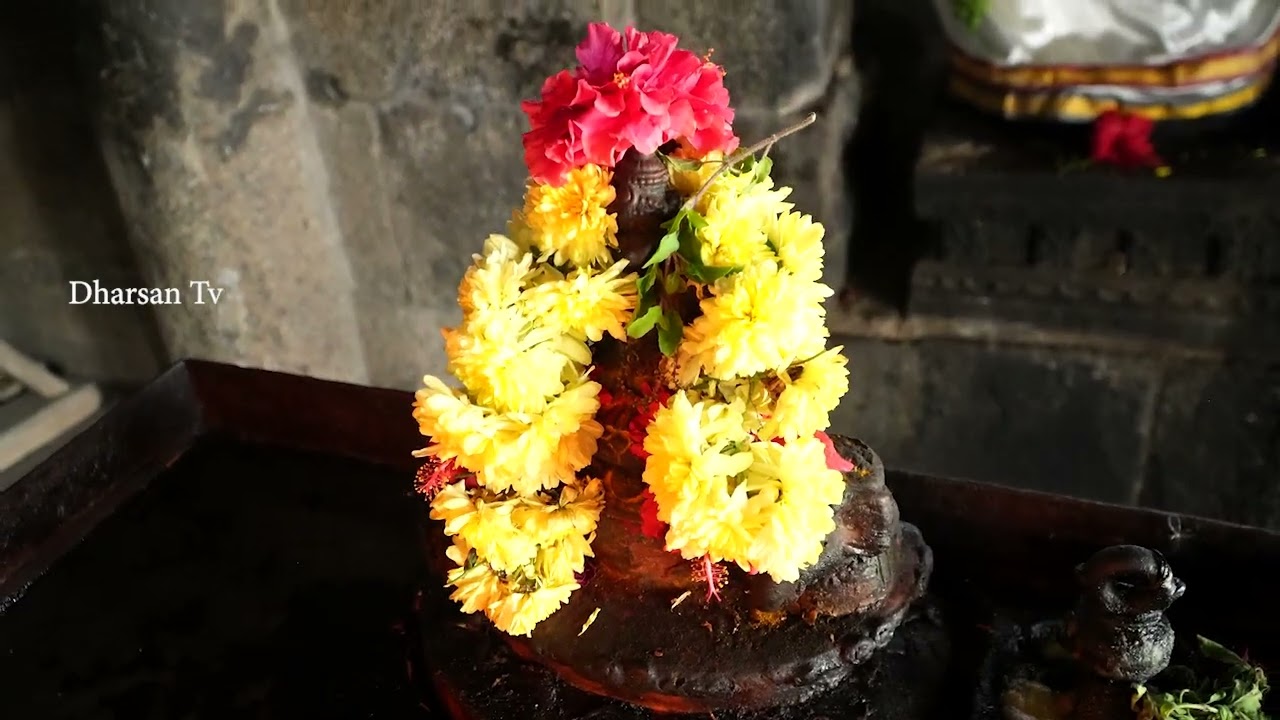 113 ம் ஆண்டு மாசி மகத்திருவிழா || ஸ்ரீ அப்பன் வெங்கடேச பெருமாள் திருக்கோயில் - திருமுக்கூடல்