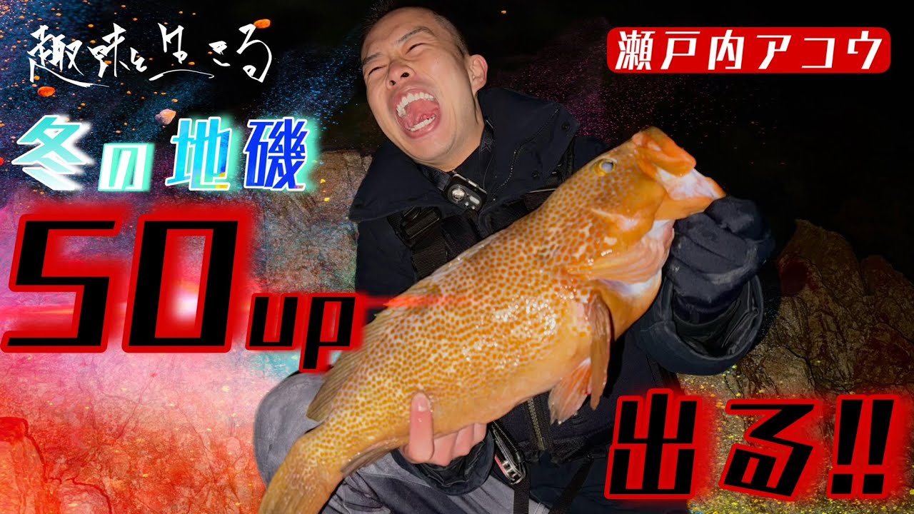 人生初ランカーアコウ‼️2023年最後の最後にドラマ有り‼️