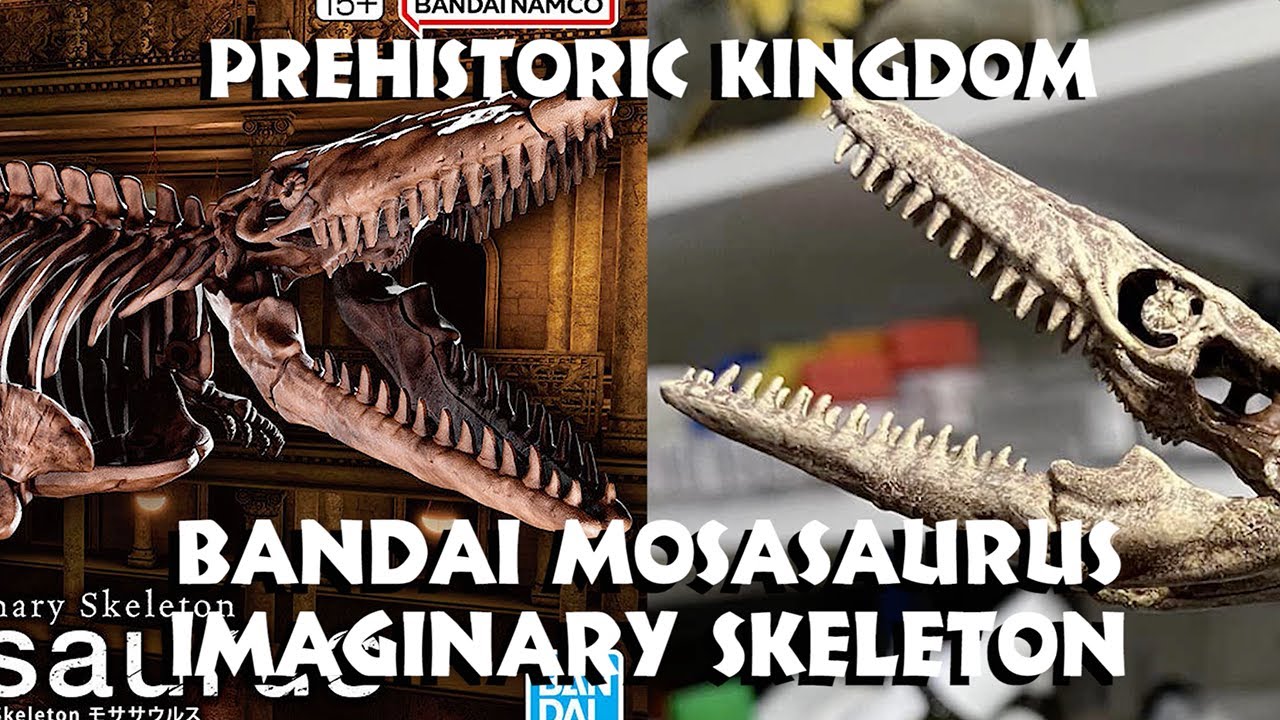 Bandai Mosasaurus Imaginary Skeleton