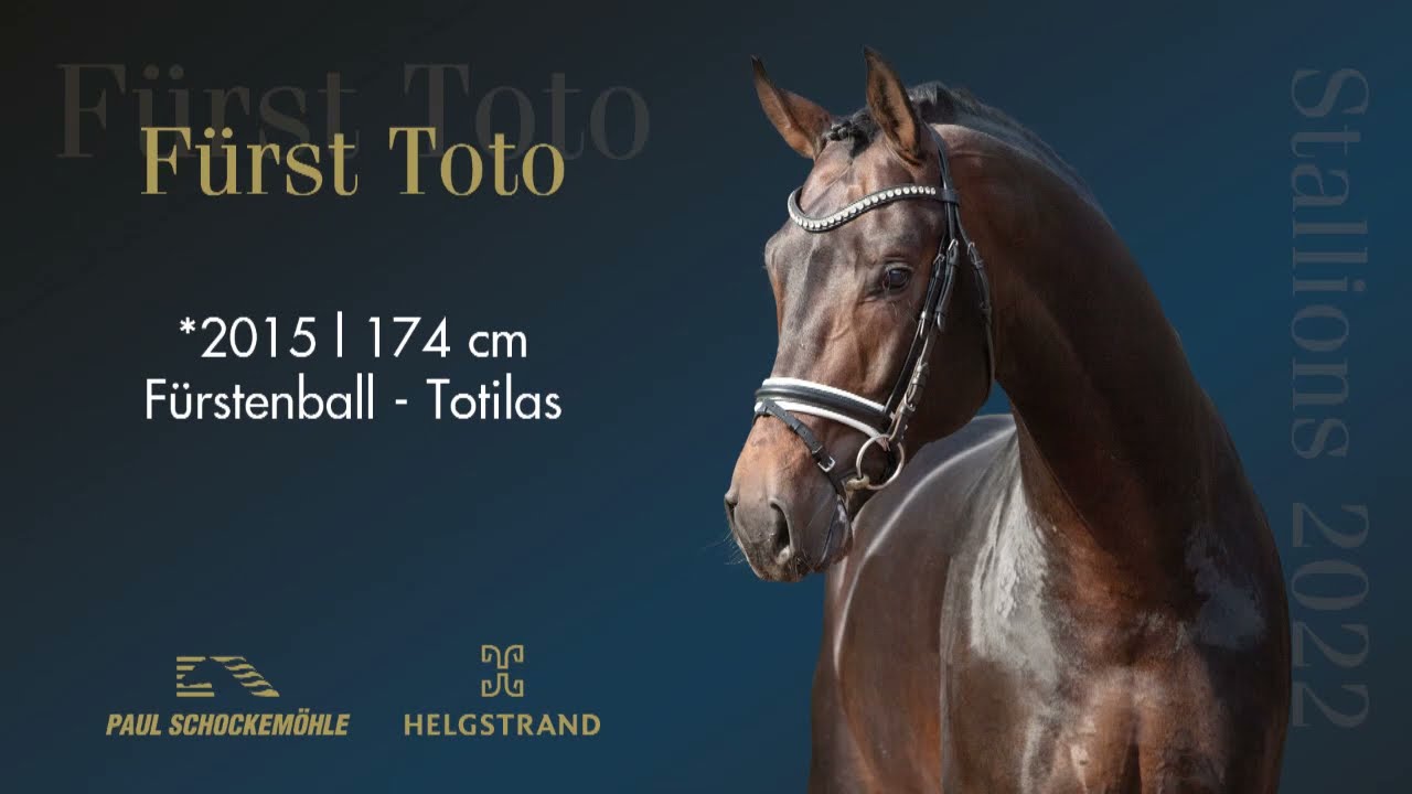 Fürst Toto - Dressurkollektion 2022 Schockemöhle & Helgstrand (DEU)