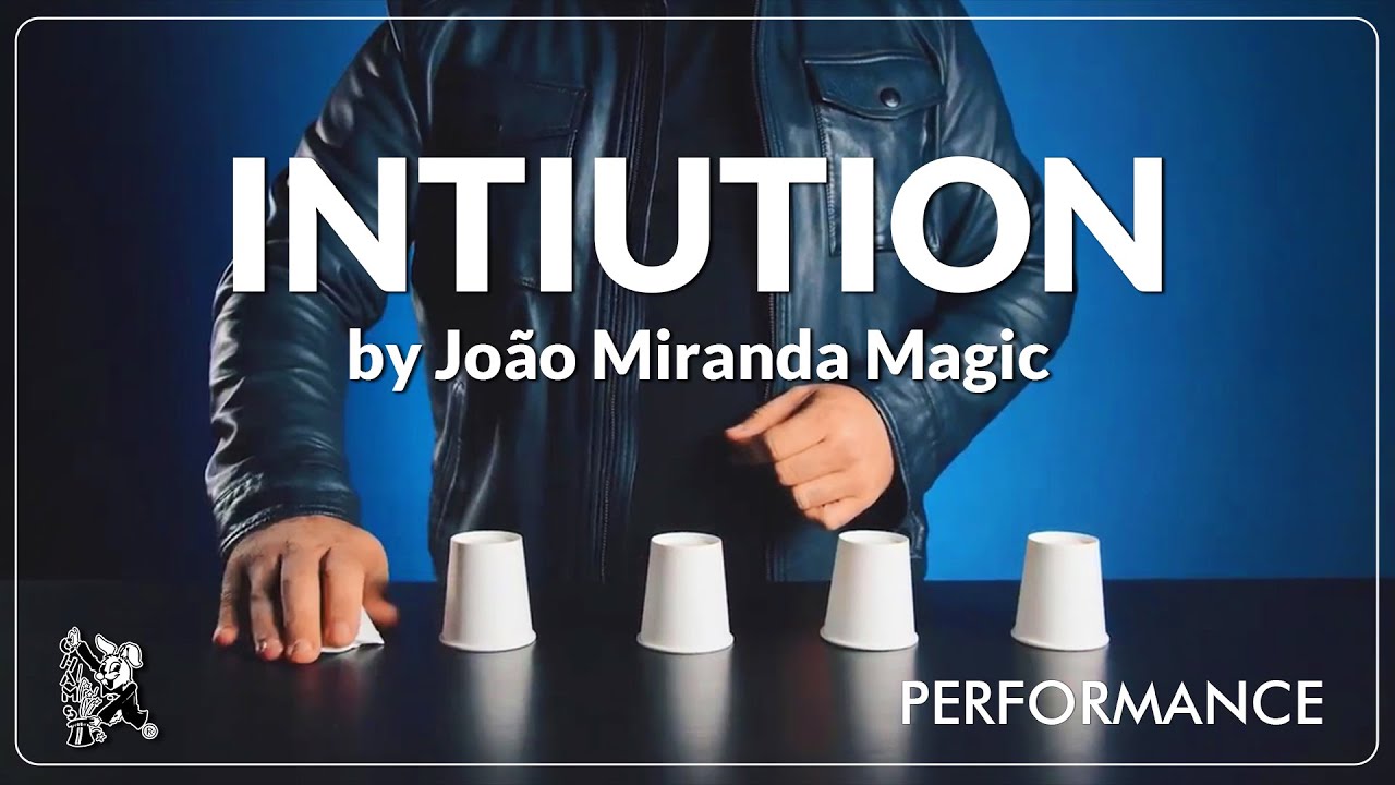 Intuition by João Miranda DEMOS