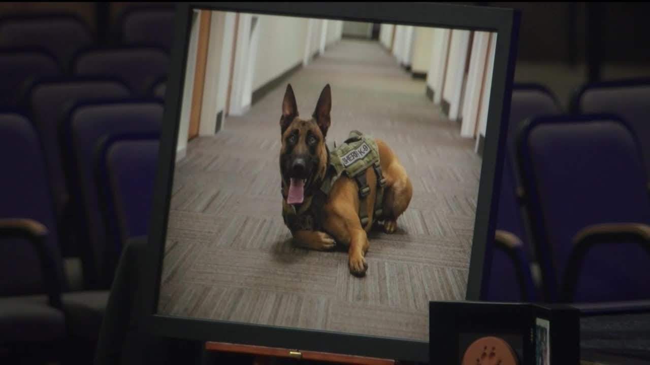 Colorado Springs pays tribute to K9 Officer Jinx