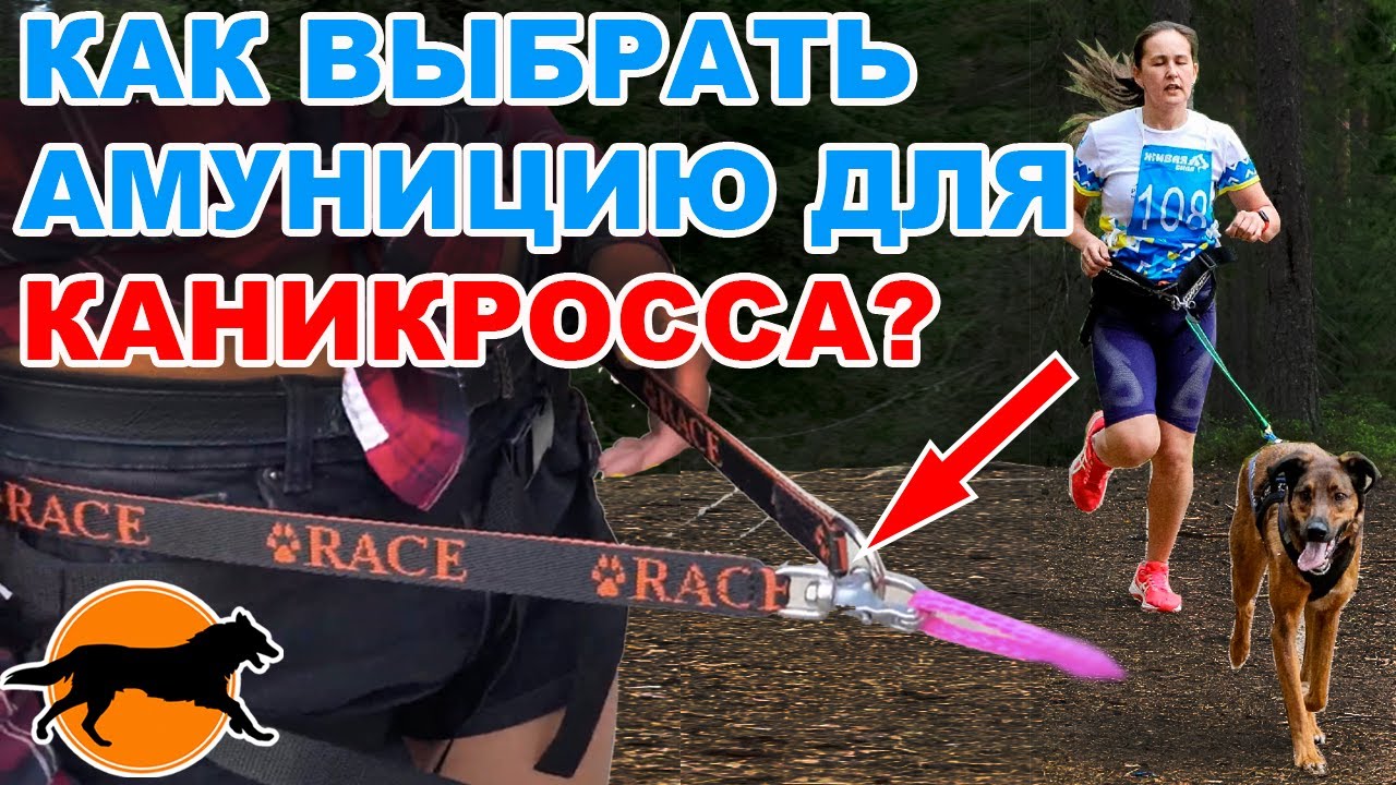 Как выбрать амуницию для каникросса?