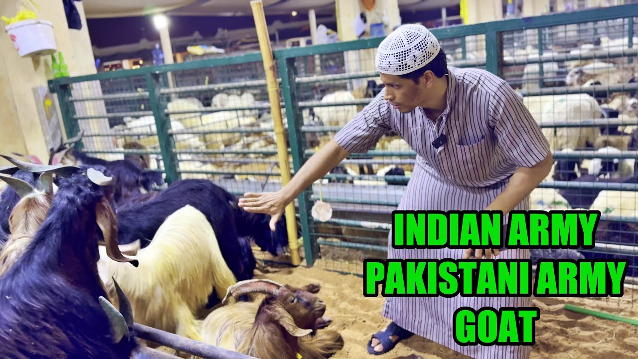 Indian Army & Pakistan Army Goat for Eid al Adha