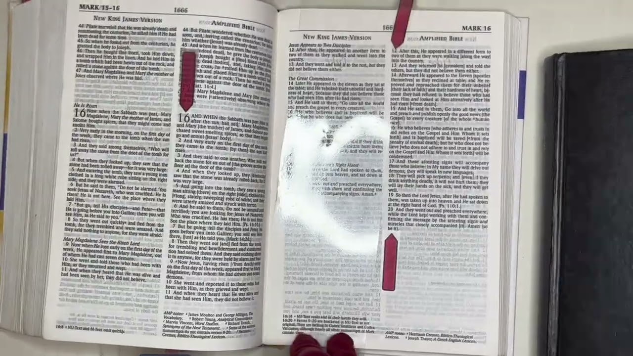 THE WORD: Your BREAD 2/9/26, Psalm 40, Mark 16:1-20, Exodus 23:1-24:18, Psalm 72