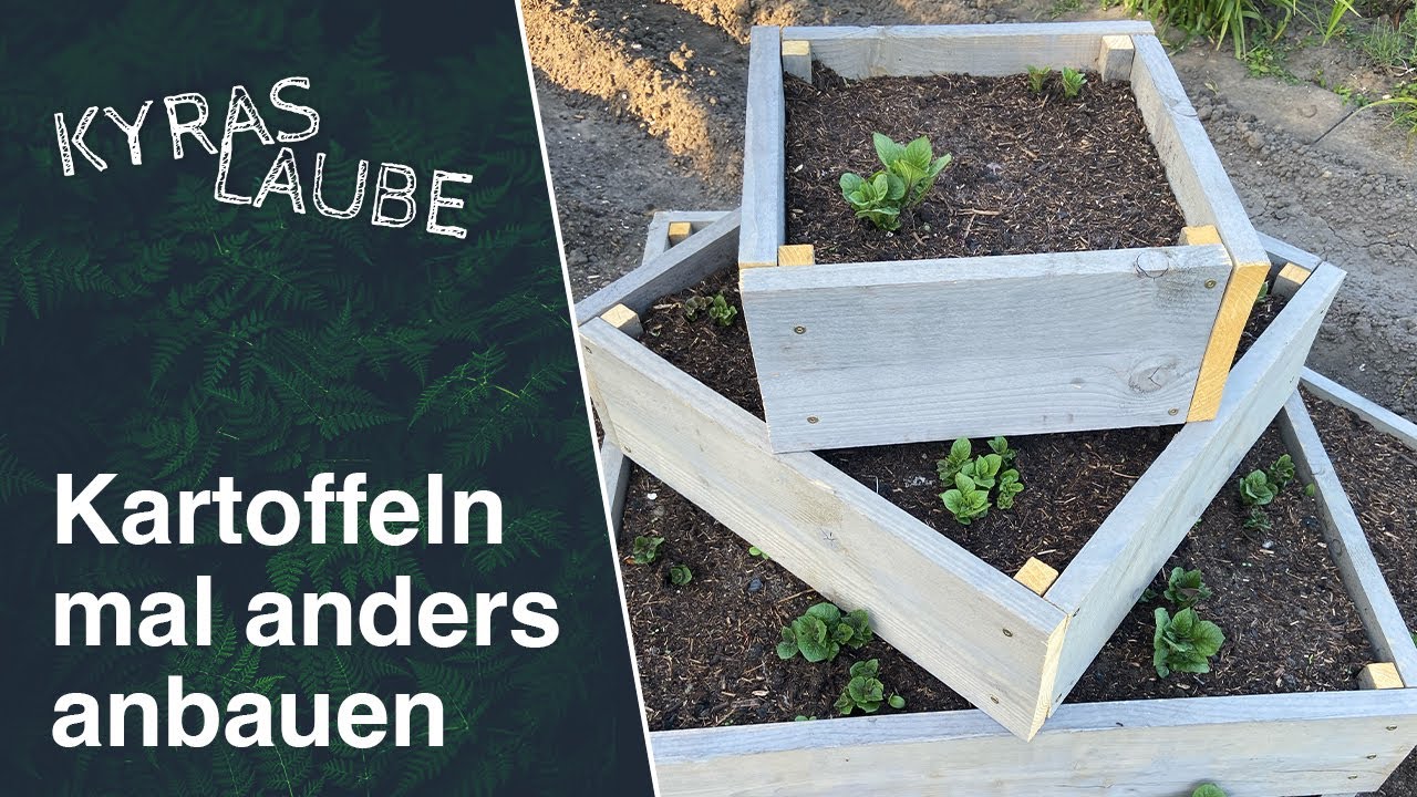 Anbau in der Kartoffelpyramide? - Wir haben es ausprobiert 🥔