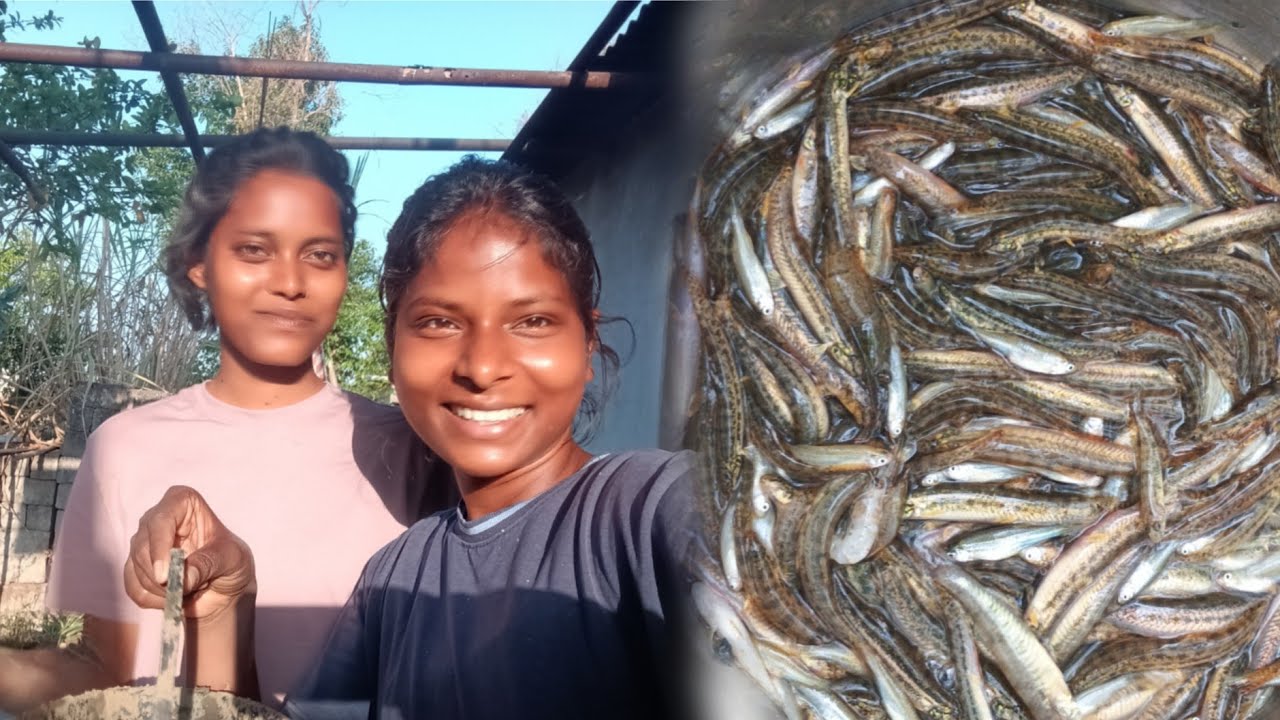 तालाब का मछली 🐠🐟😱#youtubevideo #vlogs #fishingvideo #like #comment #share 