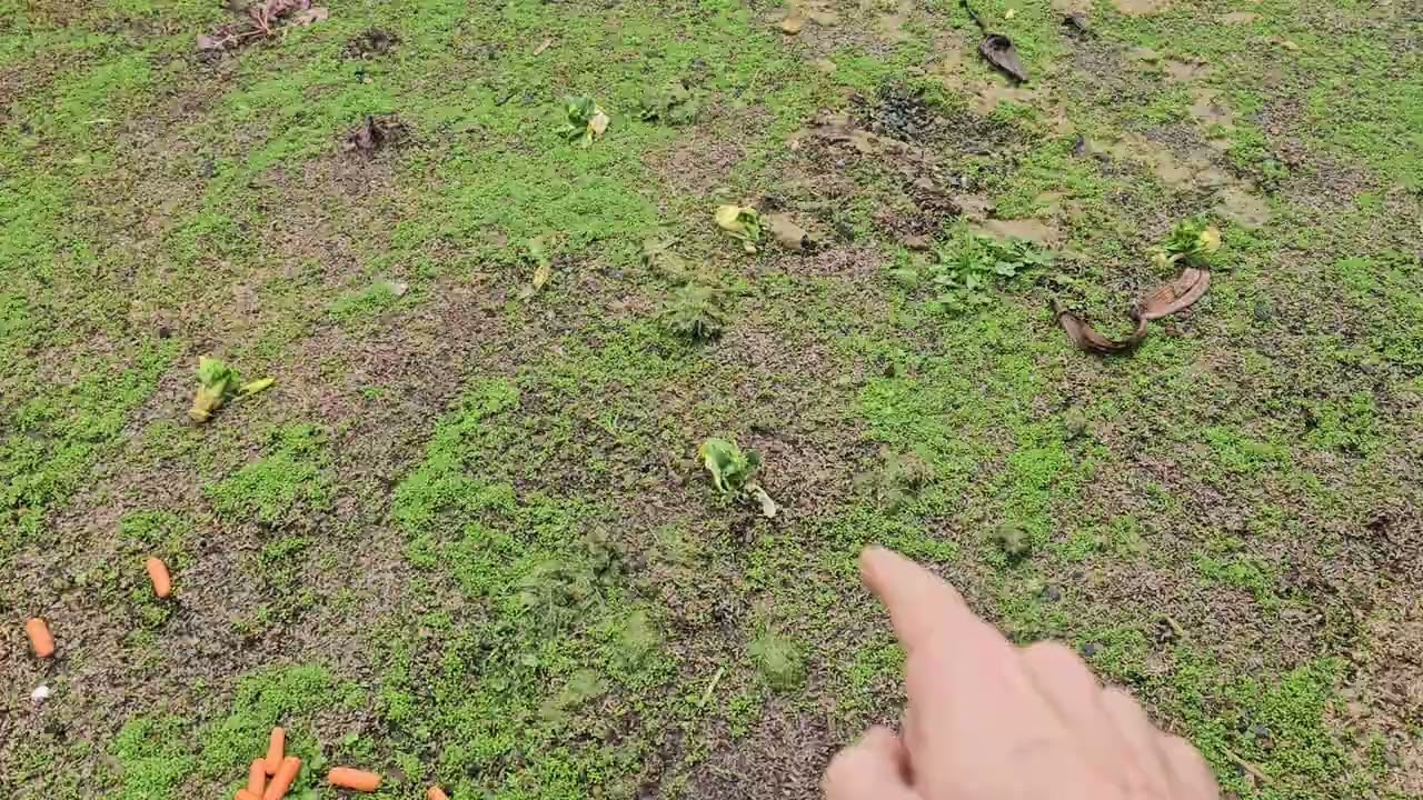 Какой приятный сюрприз!